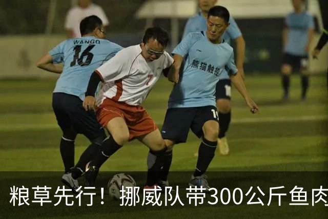 粮草先行！挪威队带300公斤鱼肉+116公斤奶酪赴美踢世界杯